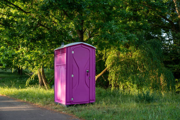 Portable Toilet Options We Offer in Meadowdale, WA